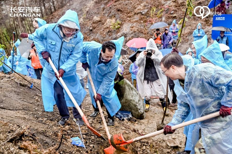 鱼渔影视苹果版:一片油茶树，二十年公益心，长安汽车树立乡村振兴新样本