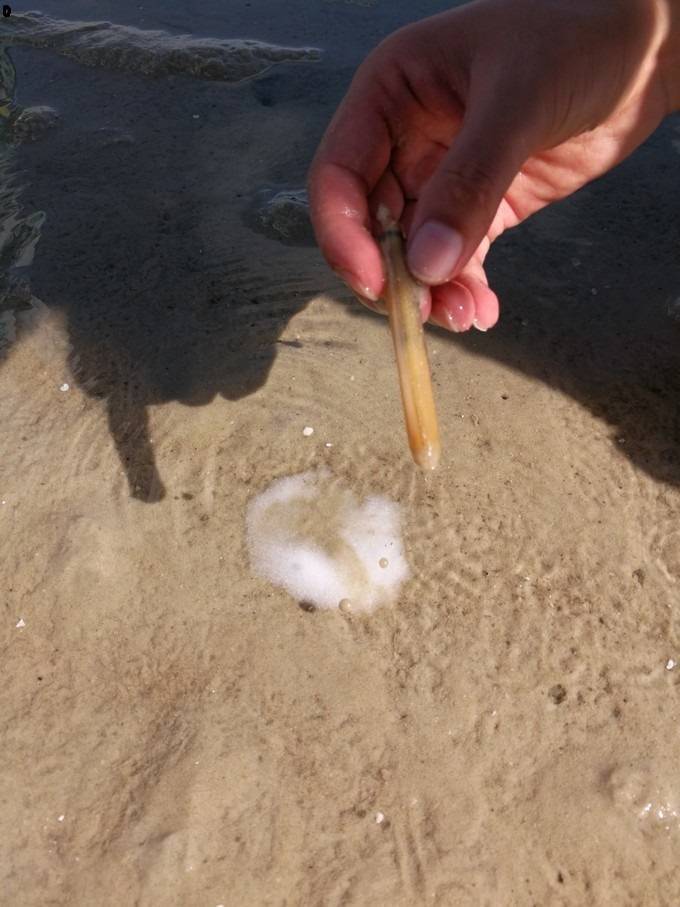 好玩的手机游戏:葫芦岛哪里好玩_葫芦岛有哪些好玩的地方推荐-第16张图片-太平洋在线下载