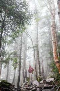 疯狂桌球苹果版下载-第4张图片-太平洋在线下载