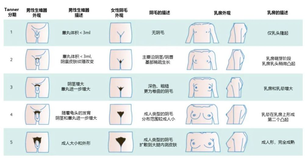 初潮软件免费版苹果版美少女养成计划苹果手机版-第2张图片-太平洋在线下载