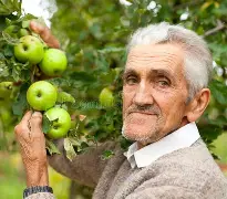 SodaPlayer苹果版(saplayer苹果无法下载)