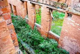 僵尸突击2疯人院安卓版(僵尸危机3手机版下载安卓)-第2张图片-QuickQ官网 僵尸突击2疯人院安卓版(僵尸危机3手机版下载安卓)-第2张图片-QuickQ官网